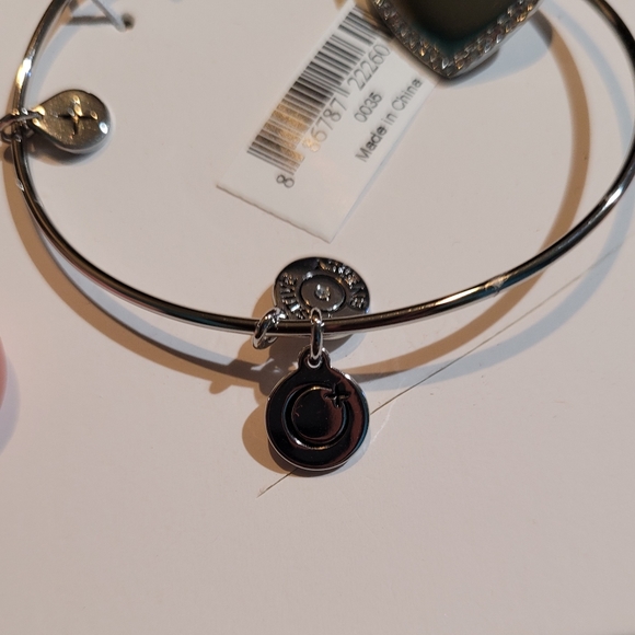 NWT Alex and Ani Silver Tone Crystal I Love You Expandable Charm Bangle Bracelet - Picture 3 of 5